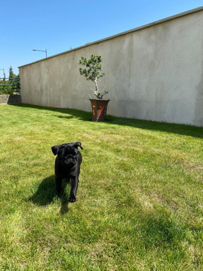 Olga Chambre D'Hote Verdun-sur-Meuse Luaran gambar