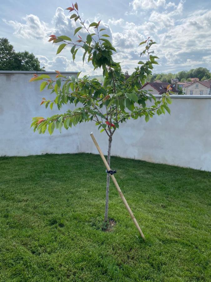 Olga Chambre D'Hote Verdun-sur-Meuse Luaran gambar